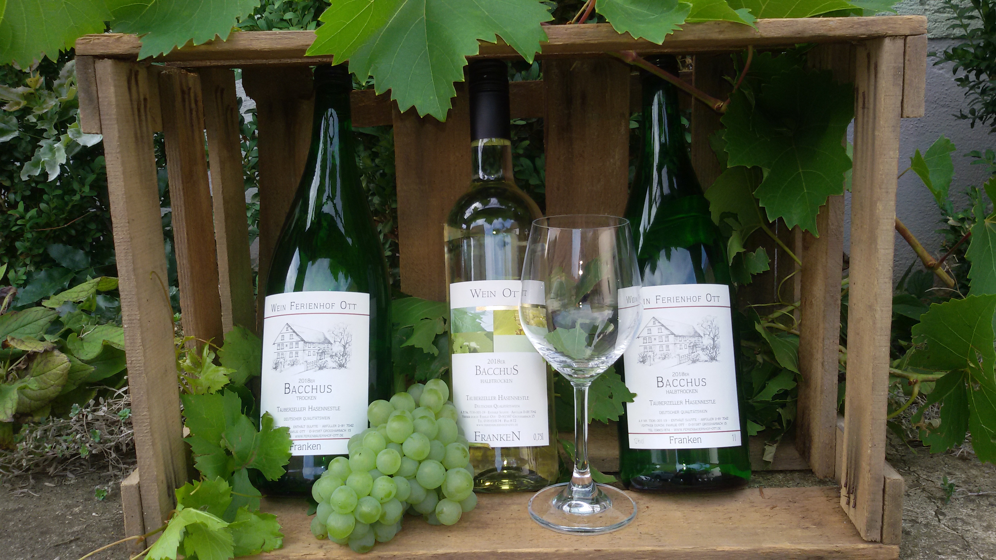 Osternest mit Weinflaschen vom Tauberzeller Hasennest